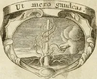 An illustration from Mater amoris et doloris : quam Christus in cruce moriens omnibus ac singulis suis fidelibus in matrem legavit : ecce mater tua : nunc explicata per sacra emblemata, figuras scripturae quàm plurimas, conceptus varios praedicabiles, SS. patrum sententias, raras historias, & pios ad Jesum patientem, ac sanctissimam matrem ejus compatientem affectus : opus omnibus Jesum & Mariam amantibus, praedicantibus, aut meditantibus perutile, com triplici indice considerationum, rerum memorabilium, & concionatorio, formandis per annum concionibus opportuno (1741)
