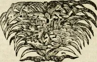 An illustration from Mater amoris et doloris : quam Christus in cruce moriens omnibus ac singulis suis fidelibus in matrem legavit : ecce mater tua : nunc explicata per sacra emblemata, figuras scripturae quàm plurimas, conceptus varios praedicabiles, SS. patrum sententias, raras historias, & pios ad Jesum patientem, ac sanctissimam matrem ejus compatientem affectus : opus omnibus Jesum & Mariam amantibus, praedicantibus, aut meditantibus perutile, com triplici indice considerationum, rerum memorabilium, & concionatorio, formandis per annum concionibus opportuno (1741)