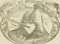 Picture 26 of 95 from Mater amoris et doloris : quam Christus in cruce moriens omnibus ac singulis suis fidelibus in matrem legavit : ecce mater tua : nunc explicata per sacra emblemata, figuras scripturae quàm plurimas, conceptus varios praedicabiles, SS. patrum sententias, raras historias, & pios ad Jesum patientem, ac sanctissimam matrem ejus compatientem affectus : opus omnibus Jesum & Mariam amantibus, praedicantibus, aut meditantibus perutile, com triplici indice considerationum, rerum memorabilium, & concionatorio, formandis per annum concionibus opportuno (1741), leaf 150