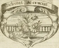Picture 30 of 95 from Mater amoris et doloris : quam Christus in cruce moriens omnibus ac singulis suis fidelibus in matrem legavit : ecce mater tua : nunc explicata per sacra emblemata, figuras scripturae quàm plurimas, conceptus varios praedicabiles, SS. patrum sententias, raras historias, & pios ad Jesum patientem, ac sanctissimam matrem ejus compatientem affectus : opus omnibus Jesum & Mariam amantibus, praedicantibus, aut meditantibus perutile, com triplici indice considerationum, rerum memorabilium, & concionatorio, formandis per annum concionibus opportuno (1741), leaf 170