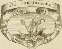 An illustration from Mater amoris et doloris : quam Christus in cruce moriens omnibus ac singulis suis fidelibus in matrem legavit : ecce mater tua : nunc explicata per sacra emblemata, figuras scripturae quàm plurimas, conceptus varios praedicabiles, SS. patrum sententias, raras historias, & pios ad Jesum patientem, ac sanctissimam matrem ejus compatientem affectus : opus omnibus Jesum & Mariam amantibus, praedicantibus, aut meditantibus perutile, com triplici indice considerationum, rerum memorabilium, & concionatorio, formandis per annum concionibus opportuno (1741)