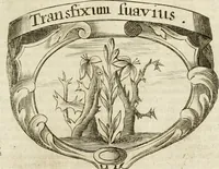Picture 40 of 95 from Mater amoris et doloris : quam Christus in cruce moriens omnibus ac singulis suis fidelibus in matrem legavit : ecce mater tua : nunc explicata per sacra emblemata, figuras scripturae quàm plurimas, conceptus varios praedicabiles, SS. patrum sententias, raras historias, & pios ad Jesum patientem, ac sanctissimam matrem ejus compatientem affectus : opus omnibus Jesum & Mariam amantibus, praedicantibus, aut meditantibus perutile, com triplici indice considerationum, rerum memorabilium, & concionatorio, formandis per annum concionibus opportuno (1741), leaf 232