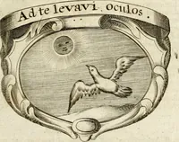 Picture 45 of 95 from Mater amoris et doloris : quam Christus in cruce moriens omnibus ac singulis suis fidelibus in matrem legavit : ecce mater tua : nunc explicata per sacra emblemata, figuras scripturae quàm plurimas, conceptus varios praedicabiles, SS. patrum sententias, raras historias, & pios ad Jesum patientem, ac sanctissimam matrem ejus compatientem affectus : opus omnibus Jesum & Mariam amantibus, praedicantibus, aut meditantibus perutile, com triplici indice considerationum, rerum memorabilium, & concionatorio, formandis per annum concionibus opportuno (1741), leaf 260