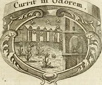 Picture 65 of 95 from Mater amoris et doloris : quam Christus in cruce moriens omnibus ac singulis suis fidelibus in matrem legavit : ecce mater tua : nunc explicata per sacra emblemata, figuras scripturae quàm plurimas, conceptus varios praedicabiles, SS. patrum sententias, raras historias, & pios ad Jesum patientem, ac sanctissimam matrem ejus compatientem affectus : opus omnibus Jesum & Mariam amantibus, praedicantibus, aut meditantibus perutile, com triplici indice considerationum, rerum memorabilium, & concionatorio, formandis per annum concionibus opportuno (1741), leaf 358