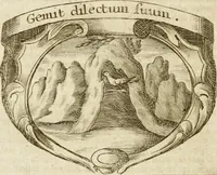 An illustration from Mater amoris et doloris : quam Christus in cruce moriens omnibus ac singulis suis fidelibus in matrem legavit : ecce mater tua : nunc explicata per sacra emblemata, figuras scripturae quàm plurimas, conceptus varios praedicabiles, SS. patrum sententias, raras historias, & pios ad Jesum patientem, ac sanctissimam matrem ejus compatientem affectus : opus omnibus Jesum & Mariam amantibus, praedicantibus, aut meditantibus perutile, com triplici indice considerationum, rerum memorabilium, & concionatorio, formandis per annum concionibus opportuno (1741)