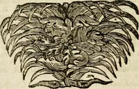 An illustration from Mater amoris et doloris : quam Christus in cruce moriens omnibus ac singulis suis fidelibus in matrem legavit : ecce mater tua : nunc explicata per sacra emblemata, figuras scripturae quàm plurimas, conceptus varios praedicabiles, SS. patrum sententias, raras historias, & pios ad Jesum patientem, ac sanctissimam matrem ejus compatientem affectus : opus omnibus Jesum & Mariam amantibus, praedicantibus, aut meditantibus perutile, com triplici indice considerationum, rerum memorabilium, & concionatorio, formandis per annum concionibus opportuno (1741)