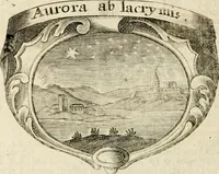 Picture 9 of 95 from Mater amoris et doloris : quam Christus in cruce moriens omnibus ac singulis suis fidelibus in matrem legavit : ecce mater tua : nunc explicata per sacra emblemata, figuras scripturae quàm plurimas, conceptus varios praedicabiles, SS. patrum sententias, raras historias, & pios ad Jesum patientem, ac sanctissimam matrem ejus compatientem affectus : opus omnibus Jesum & Mariam amantibus, praedicantibus, aut meditantibus perutile, com triplici indice considerationum, rerum memorabilium, & concionatorio, formandis per annum concionibus opportuno (1741), leaf 53