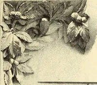 An illustration from Materials and documents of architecture and sculpture : classified alphabetically (1915)