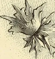 An illustration from Materials and documents of architecture and sculpture : classified alphabetically (1915)