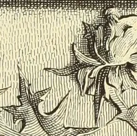 An illustration from Materials and documents of architecture and sculpture : classified alphabetically (1915)