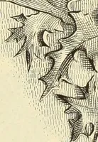 An illustration from Materials and documents of architecture and sculpture : classified alphabetically (1915)