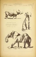 An illustration from Materials and documents of architecture and sculpture : classified alphabetically (1915)