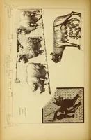 An illustration from Materials and documents of architecture and sculpture : classified alphabetically (1915)