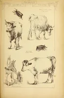 An illustration from Materials and documents of architecture and sculpture : classified alphabetically (1915)