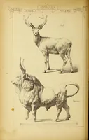 An illustration from Materials and documents of architecture and sculpture : classified alphabetically (1915)