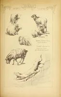An illustration from Materials and documents of architecture and sculpture : classified alphabetically (1915)
