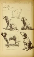 An illustration from Materials and documents of architecture and sculpture : classified alphabetically (1915)