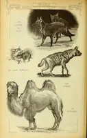 An illustration from Materials and documents of architecture and sculpture : classified alphabetically (1915)