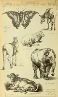 An illustration from Materials and documents of architecture and sculpture : classified alphabetically (1915)