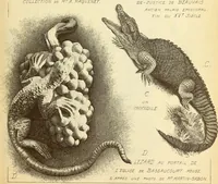An illustration from Materials and documents of architecture and sculpture : classified alphabetically (1915)