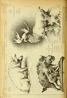 An illustration from Materials and documents of architecture and sculpture : classified alphabetically (1915)