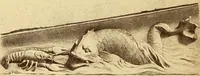 An illustration from Materials and documents of architecture and sculpture : classified alphabetically (1915)