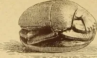An illustration from Materials and documents of architecture and sculpture : classified alphabetically (1915)