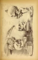 An illustration from Materials and documents of architecture and sculpture : classified alphabetically (1915)
