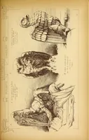 An illustration from Materials and documents of architecture and sculpture : classified alphabetically (1915)