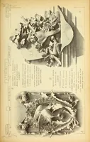 An illustration from Materials and documents of architecture and sculpture : classified alphabetically (1915)