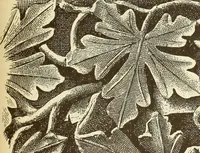 An illustration from Materials and documents of architecture and sculpture : classified alphabetically (1915)