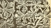 An illustration from Materials and documents of architecture and sculpture : classified alphabetically (1915)