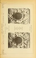 An illustration from Materials and documents of architecture and sculpture : classified alphabetically (1915)
