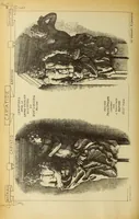 An illustration from Materials and documents of architecture and sculpture : classified alphabetically (1915)