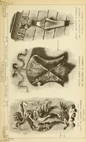 Picture 376 of 502 from Materials and documents of architecture and sculpture : classified alphabetically (1915), leaf 286