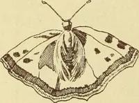 An illustration from Materials and documents of architecture and sculpture : classified alphabetically (1915)