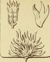 An illustration from Materials and documents of architecture and sculpture : classified alphabetically (1915)