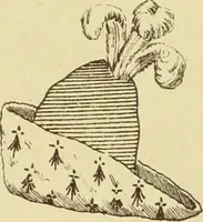 An illustration from Materials and documents of architecture and sculpture : classified alphabetically (1915)