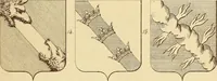 An illustration from Materials and documents of architecture and sculpture : classified alphabetically (1915)
