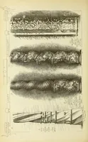 An illustration from Materials and documents of architecture and sculpture : classified alphabetically (1915)