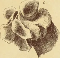 An illustration from Materials and documents of architecture and sculpture : classified alphabetically (1915)