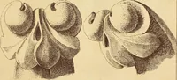 An illustration from Materials and documents of architecture and sculpture : classified alphabetically (1915)