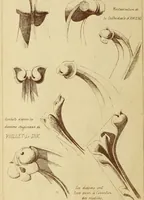 An illustration from Materials and documents of architecture and sculpture : classified alphabetically (1915)