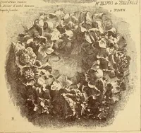 An illustration from Materials and documents of architecture and sculpture : classified alphabetically (1915)