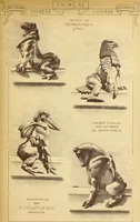 An illustration from Materials and documents of architecture and sculpture : classified alphabetically (1915)