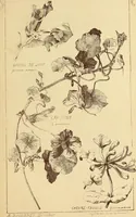 Picture 505 of 542 from Materials and documents of architecture and sculpture : classified alphabetically (1915), leaf 420