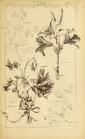 An illustration from Materials and documents of architecture and sculpture : classified alphabetically (1915)