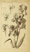 Picture 508 of 542 from Materials and documents of architecture and sculpture : classified alphabetically (1915), leaf 423