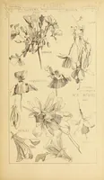 Picture 509 of 542 from Materials and documents of architecture and sculpture : classified alphabetically (1915), leaf 424