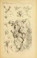 Picture 511 of 542 from Materials and documents of architecture and sculpture : classified alphabetically (1915), leaf 426